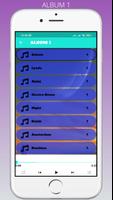 Soolking all songs online اسکرین شاٹ 3