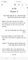 Tehillim poster