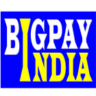 BigPayIndia For Retailers icône