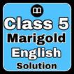 Class 5 English Solution MCQs