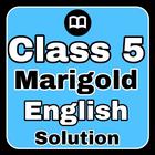 Class 5 English Solution MCQs icône