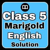 Class 5 English Solution MCQs иконка