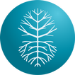 FF MetricS