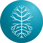 FF MetricS icon