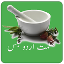 Hikmat Urdu Books , Hikmat ki  APK