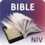 Holy Bible (NIV)