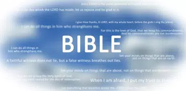 Holy Bible (RSV)