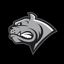 Dornbirn Bulldogs APK