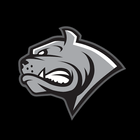 Dornbirn Bulldogs आइकन