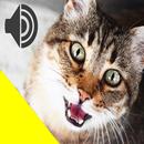 Chamar Animais APK