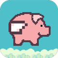 Flappy Pig