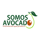 Somos Avocado APK