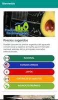 Somos Avocado Plakat