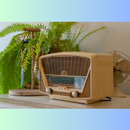 Tropicalisima 100.3 Fm Radio APK