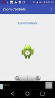 ZOOM CONTROLS Affiche