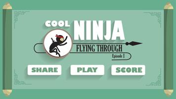 Cool Ninja poster