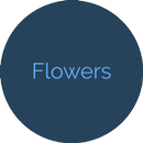 Flowers APK