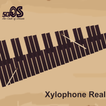 Xylophone Real: 2 mallet types иконка