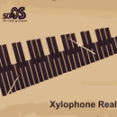 Xylophone Real: 2 mallet types APK