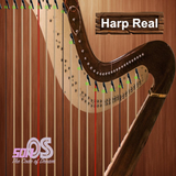Harp Real-icoon