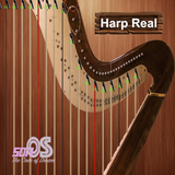 Harp Real