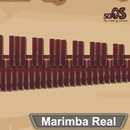 Marimba, Xylophone, Vibraphone APK