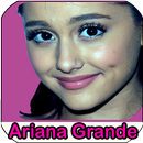 Ariana Grande Songs without internet 2020 APK