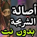 اغاني اصاله الشريجه بدون نت 2019 حصريا aplikacja