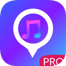 Song: writer lyrics-PRO APK