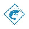 SONGA Ecuador APK