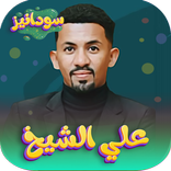 علي الشيخ 2026 - بدون نت