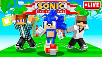 Sonic the Hedgehog Mod MCPE تصوير الشاشة 3