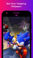 The Hedgehog STH Wallpapers ポスター