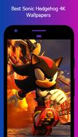 The Hedgehog STH Wallpapers imagem de tela 2