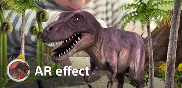 AR effect