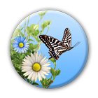 Motyl ikona