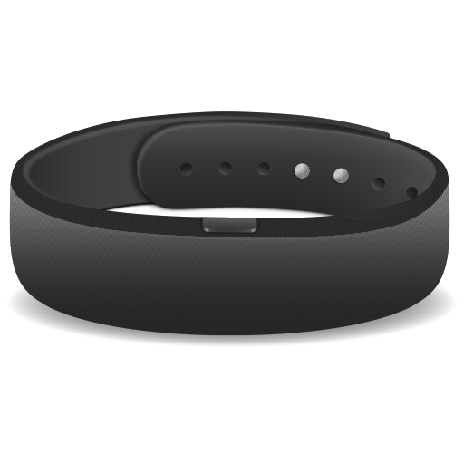 SmartBand SWR10