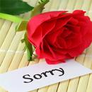 Sorry Animated Images GIFs APK