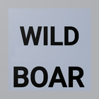 Wild Boar Sounds أيقونة