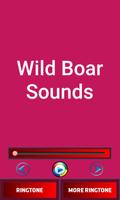 Wild Boar Sounds تصوير الشاشة 1