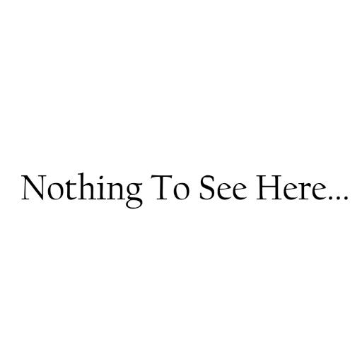 See here now. Nothing here. Nothing to see. Nothing to see here. Nothing to admire.