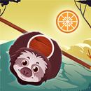 Zoo Animal Jump APK