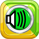 Kurdi Sorani with English APK