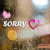 Sorry Messages Images pics Ekran Görüntüsü 2