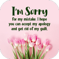Sorry Messages