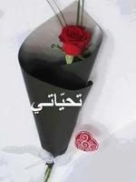 صور شكر متحركة Plakat