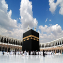مناسك الحج و العمرة APK
