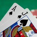 Blackjack Card Counter