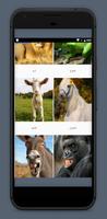 Animal sounds without internet screenshot 2