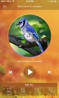 大きな鳥の音 - リラックスした鳥のさえずり スクリーンショット 1